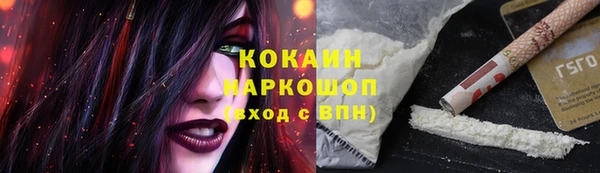 дживик Дмитриев