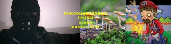 каннабис Арсеньев