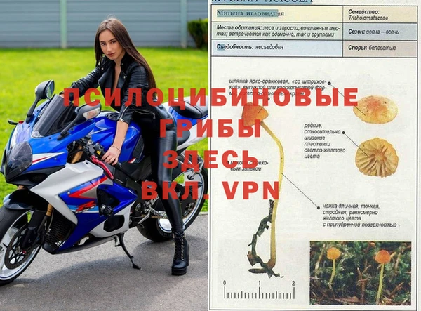 метамфетамин Армянск