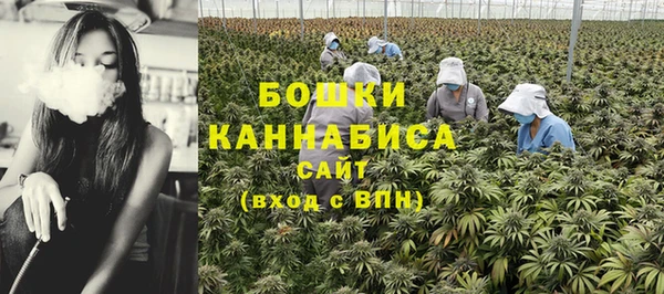 каннабис Арсеньев